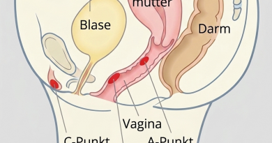 Grafik A-Punkt in der Vagina, Querformat