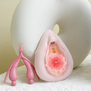 Anatomiemodelle Vulva und Klitoris bei Amazon
