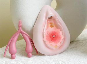 Anatomiemodelle Vulva und Klitoris bei Amazon