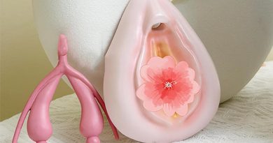 Anatomiemodelle Vulva und Klitoris bei Amazon