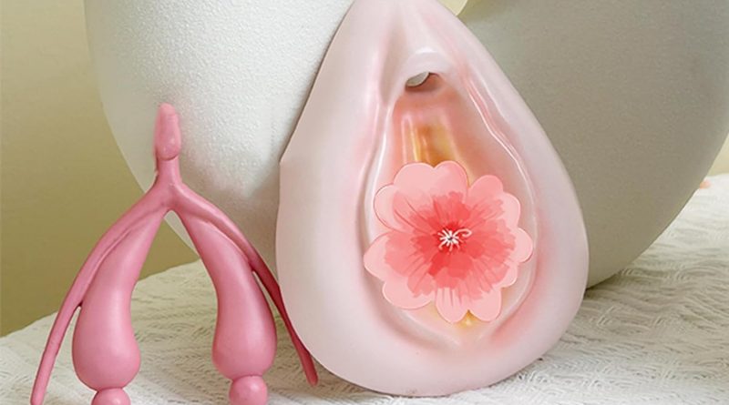 Anatomiemodelle Vulva und Klitoris bei Amazon